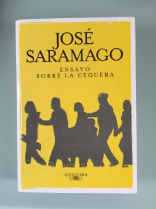 Ensayo sobre la ceguera