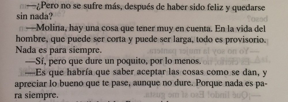 Fragmento del libro El beso de la mujer araña de Manuel Puig